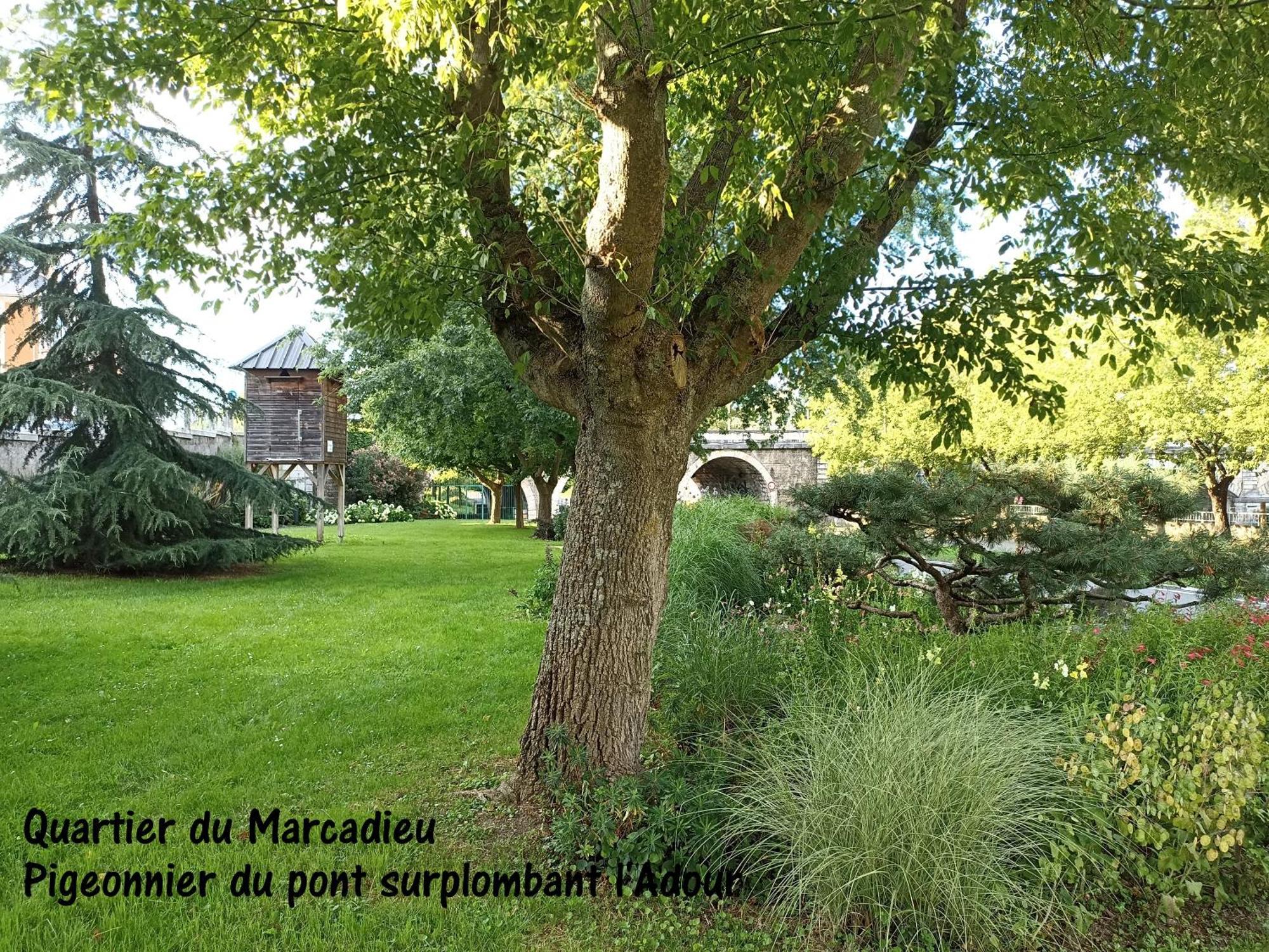 Studio Tarbes Marcadieu Extérieur photo